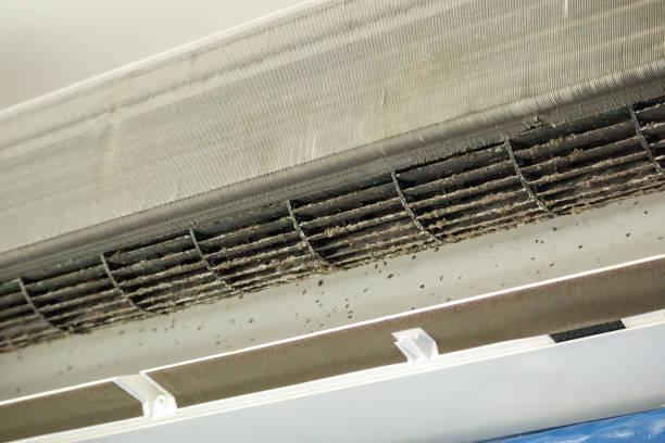 Best HVAC System Cleaning  in College Place, WA